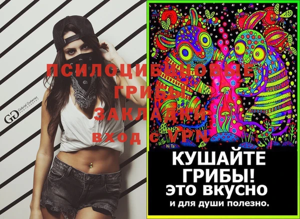 СК Аркадак