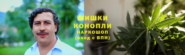 СК Аркадак