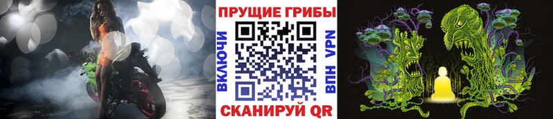 OMG ССЫЛКА Спасск-Рязанский Галлюциногенные грибы Psilocybine cubensis